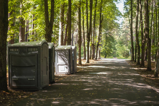 Best Local porta potty services  in Lake Sherwood, CA
